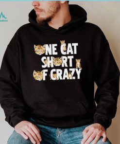 Cat one cat short of crazy shirt, hoodie, sweater, long sleeve and tank top Cat one cat short of crazy shirt