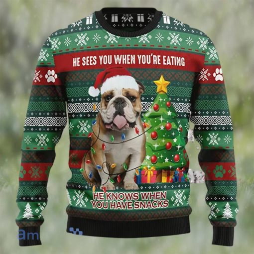 Dog Santa Ugly Christmas Sweater Unisex