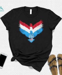 Team USA flag Eagle logo retro shirt