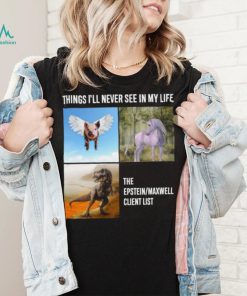 Things you’ll never see in my life the epstein maxwell client list t shirt