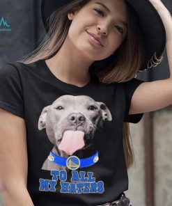 Pitbull Golden State Warriors To All My Haters Shirt