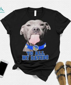 Pitbull Golden State Warriors To All My Haters Shirt