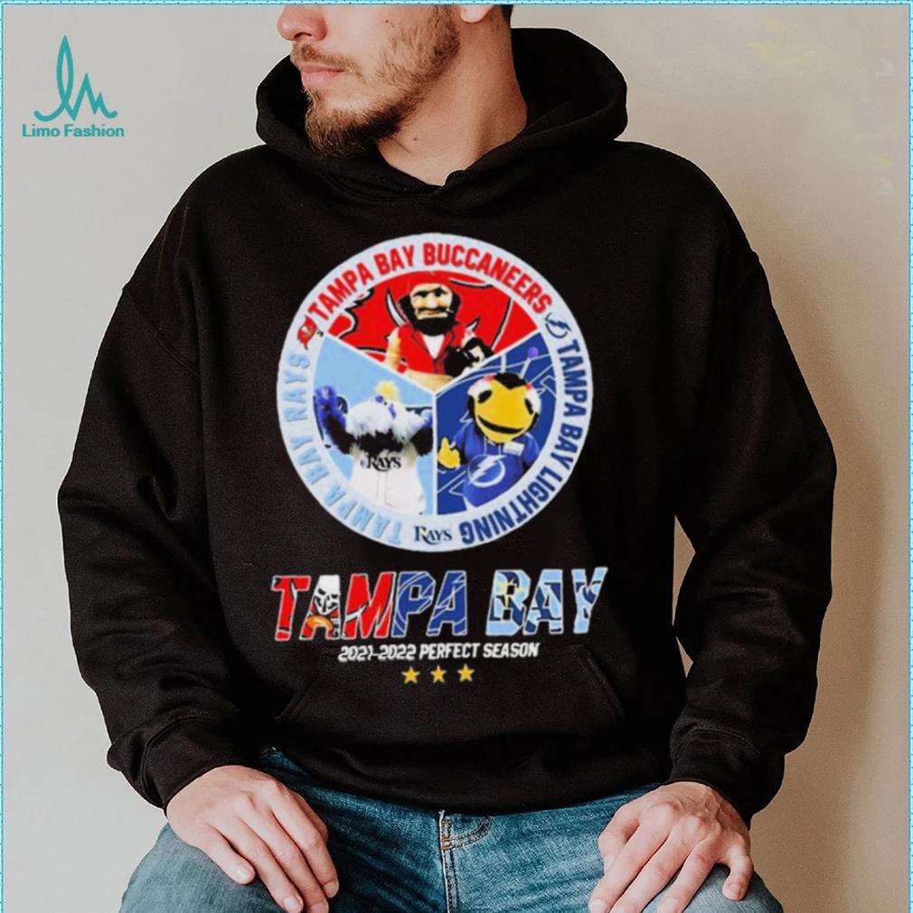 Perfect Season Tampa Bay Rays Tampa Bay Lightning And Tampa Bay Buccaneers  Unisex T-Shirt - Teeruto