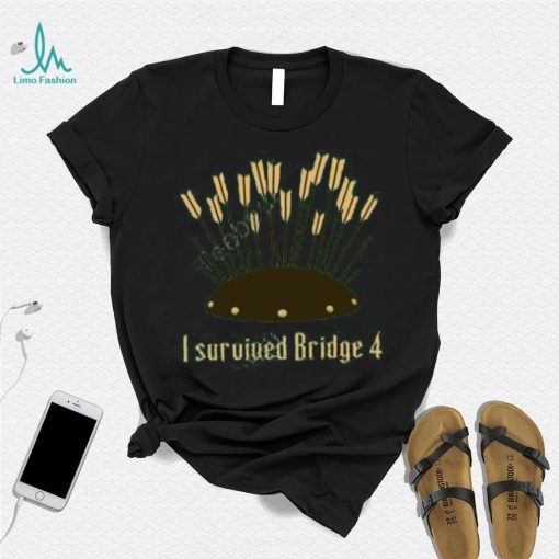 I Survived Bridge 4 And All I Got Was This Soup Tee Shirt