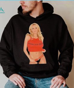 Official Stormy Daniels Indicted 2023 shirt