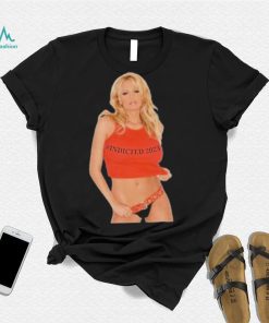 Official Stormy Daniels Indicted 2023 shirt
