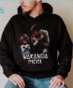 Rest In Power King Chadwick Boseman Black Panther Wakanda Forever 2023 t Shirt