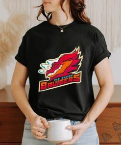 Bad dragon bruisers shirt