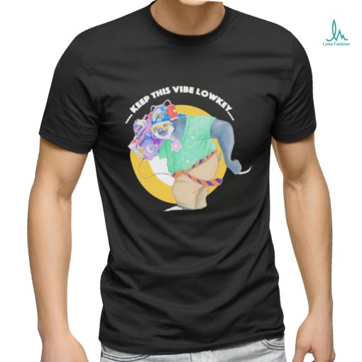Keep This Vibe Lowkey Sloth Shirt
