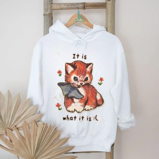 Shirts That Go Hard It Is What It Is Tee Shirt