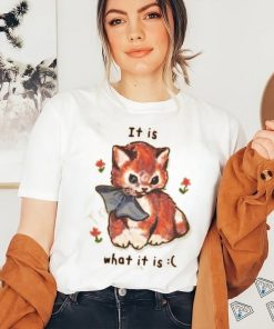 Shirts That Go Hard It Is What It Is Tee Shirt