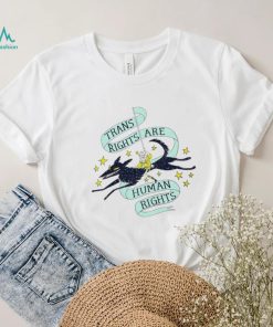 Trans Rights are human rights art shirt