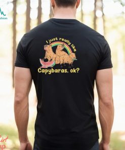 I Just Really Like Capybaras Ok Capybara Lover T Shirt