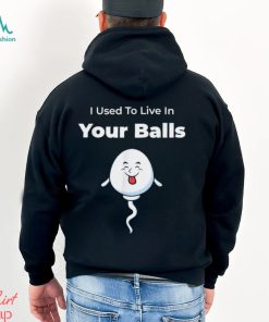 I Used To Live in Your Balls Silly Father’s day T Shirt