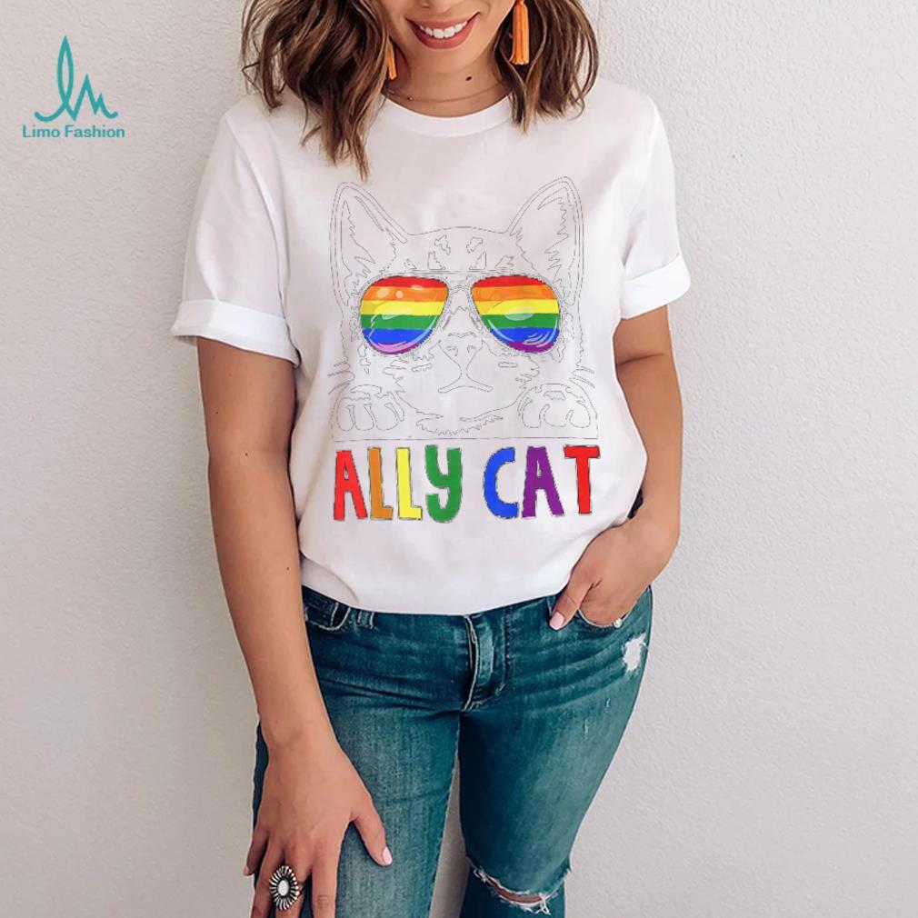 LGBT Ally Cat Be Kind Gay Rainbow Funny LGBTQ T Shirt LGBT Ally Cat Be Kind Gay Rainbow Funny LGBTQ T Shirt
