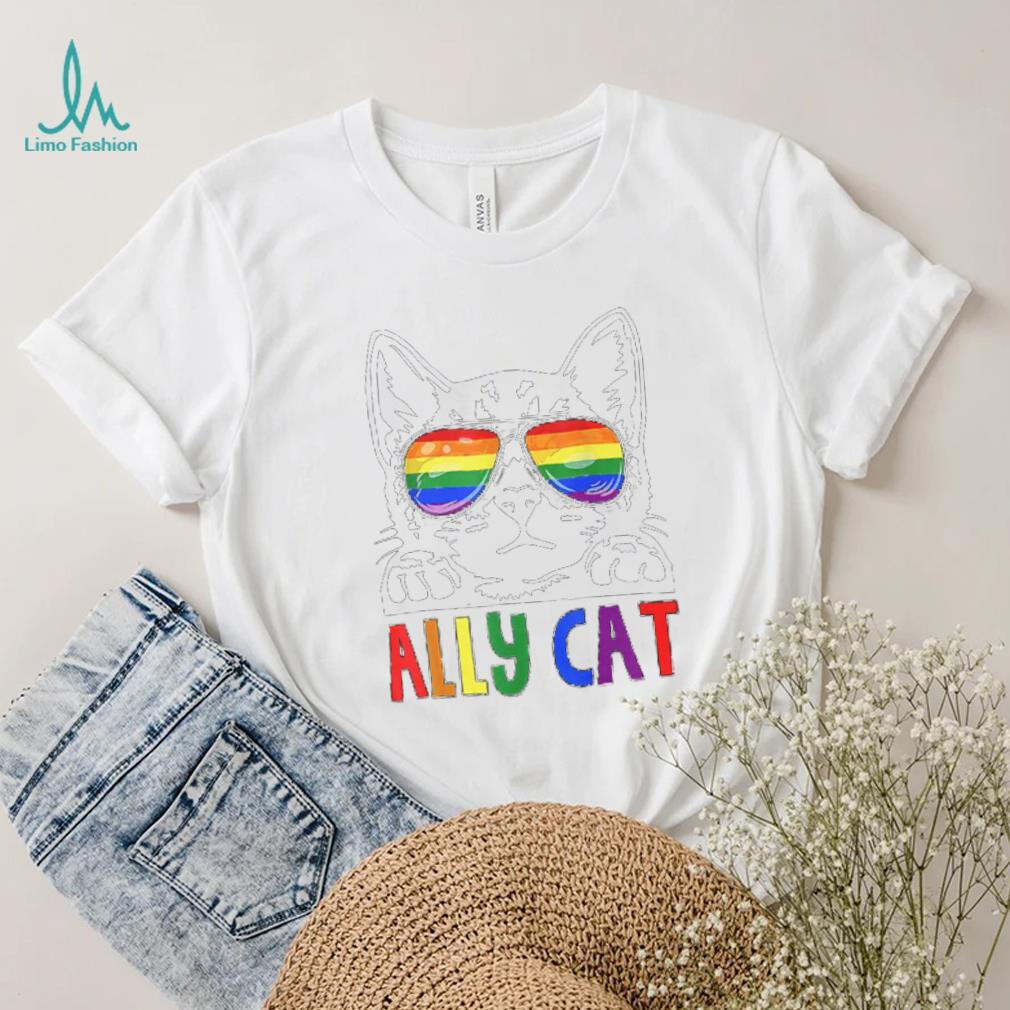 LGBT Ally Cat Be Kind Gay Rainbow Funny LGBTQ T Shirt LGBT Ally Cat Be Kind Gay Rainbow Funny LGBTQ T Shirt