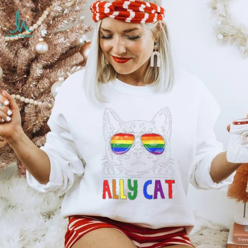LGBT Ally Cat Be Kind Gay Rainbow Funny LGBTQ T Shirt
