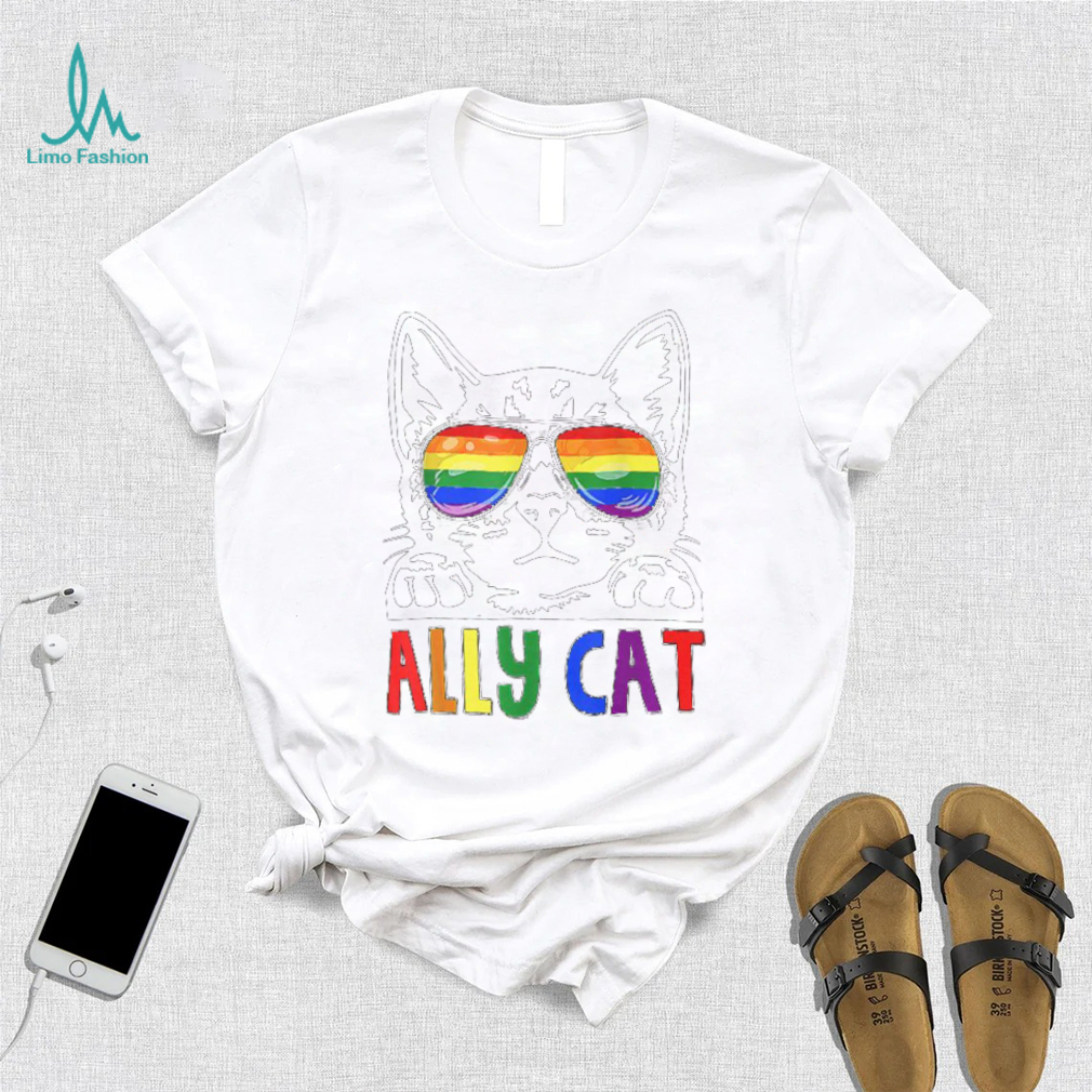 LGBT Ally Cat Be Kind Gay Rainbow Funny LGBTQ T Shirt LGBT Ally Cat Be Kind Gay Rainbow Funny LGBTQ T Shirt