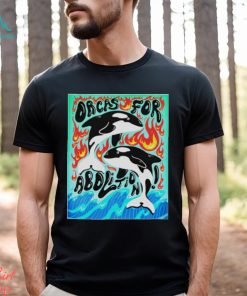 Orcas for abolition shirt, hoodie, sweater, long sleeve and tank top Orcas for abolition shirt
