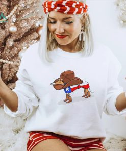 The cowboy dog of Texas flag shirt