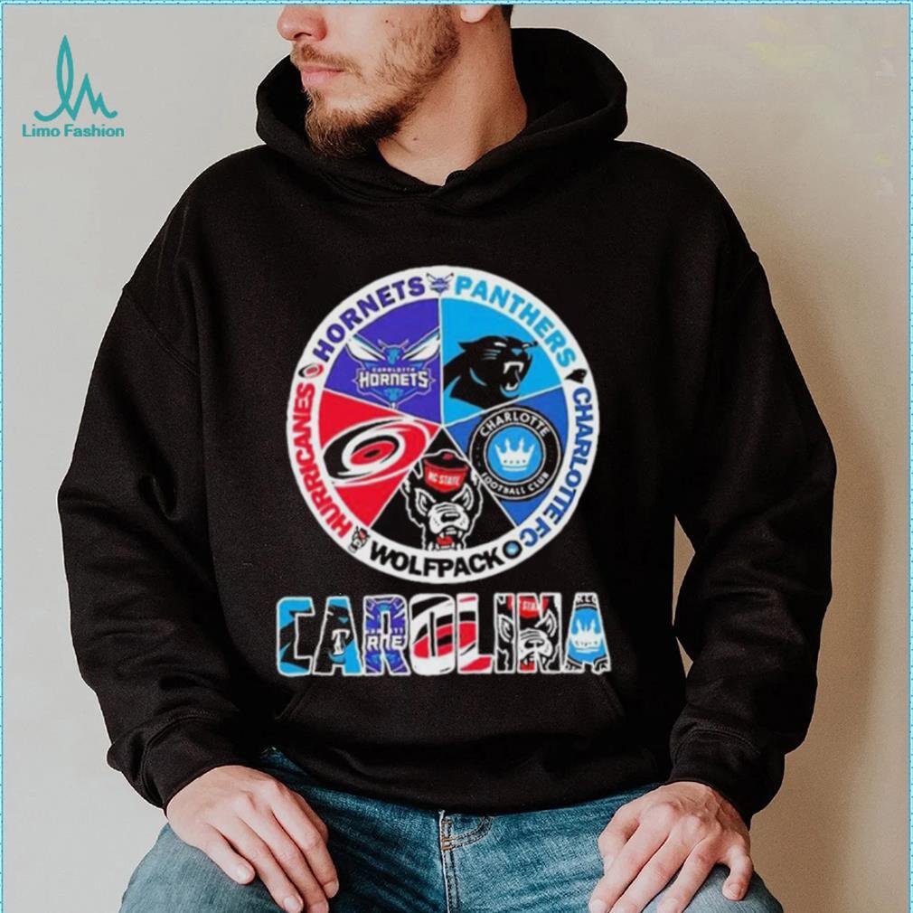 Carolina Panthers And Hurricanes Hornets Logo shirt, hoodie