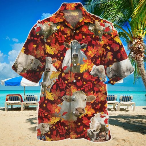 Charolais Cattle Autumn Leaves Hawaiian Shirt Aloha Shirt For Men Women