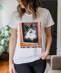 I'm Not Sure I Can Be Fixed shirt