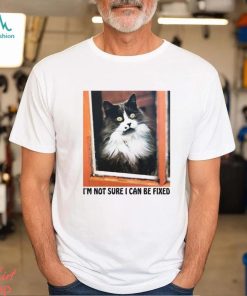 I'm Not Sure I Can Be Fixed shirt