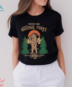 Protect Our National Parks Funnyy Bear Wildlife shirt