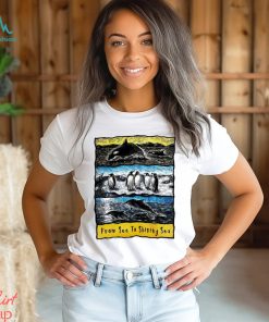 Sea to Shining Sea Penguins Dolphins Orca art shirt