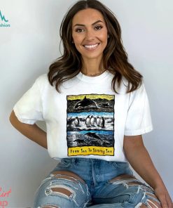 Sea to Shining Sea Penguins Dolphins Orca art shirt