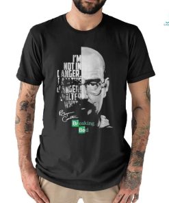 Breaking Bad I’m Not In Danger I Am The Danger Walter White signatures Shirt