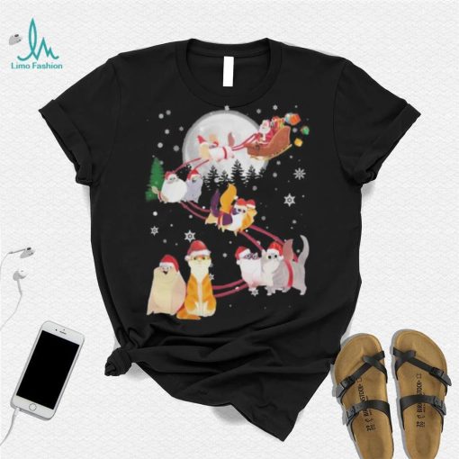 Cat 2  santa claus and sky Christmas sweatshirt