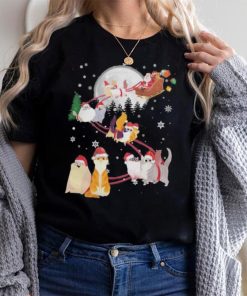 Cat 2 santa claus and sky Christmas sweatshirt