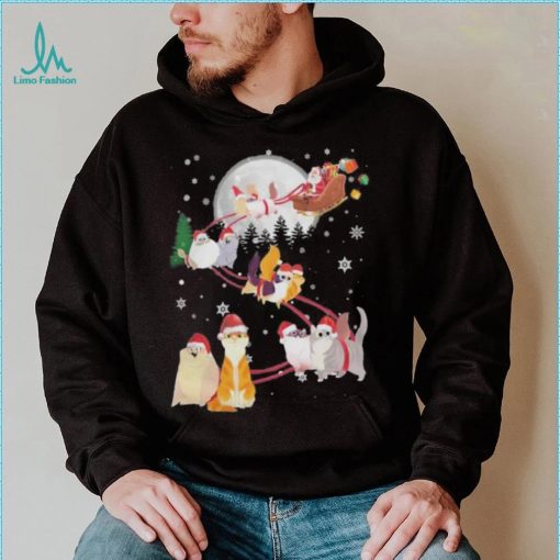 Cat 2  santa claus and sky Christmas sweatshirt