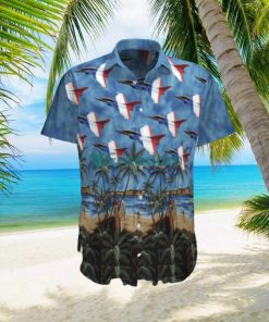 Rafale Solo Display Hawaiian Shirt Best Style For Men Women hawaiian shirt