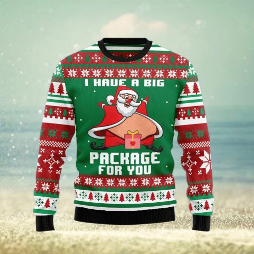 I Have A Big Package For You Ugly Christmas Sweater Gift Men Women