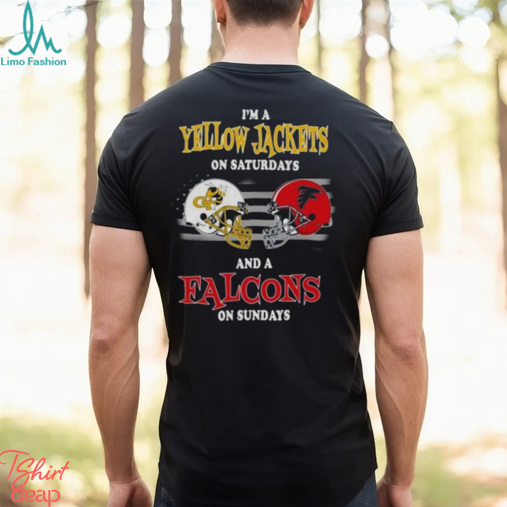 Georgia bulldogs and on sale atlanta falcons shirt