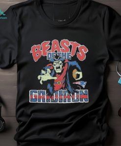 Detroit Lions Beasts Of The Gridiron shirt - Limotees