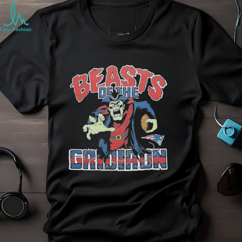 Houston Texans Beasts Of The Gridiron shirt - Limotees