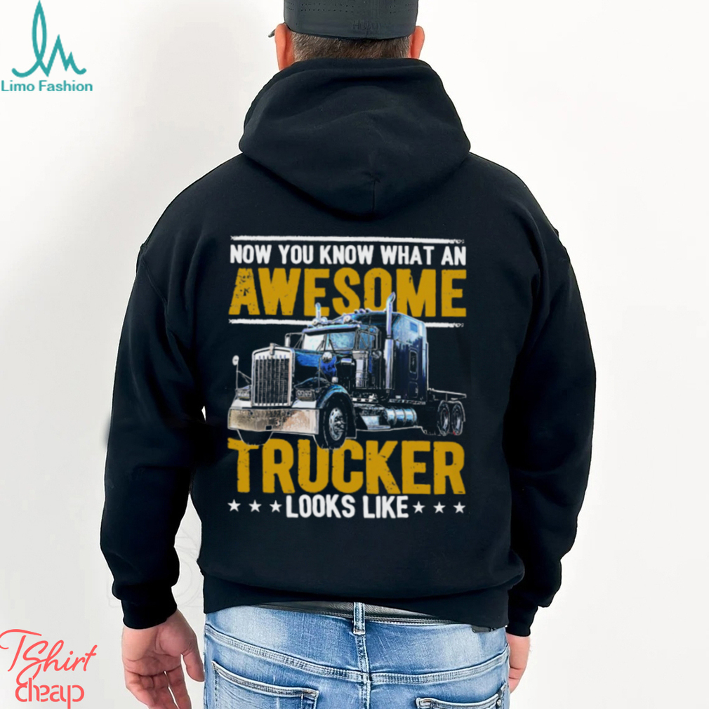 Trucker Love Pittsburgh Steelers Vintage T-Shirt, hoodie, sweater, long  sleeve and tank top