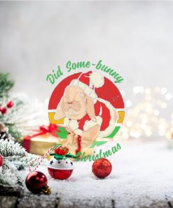 Bunny Santa Did Some Bunny Say Christmas T shirt