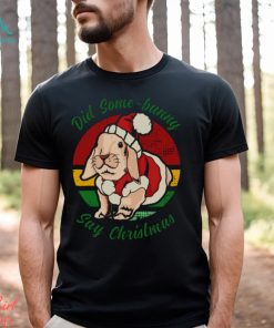 Bunny Santa Did Some Bunny Say Christmas shirt