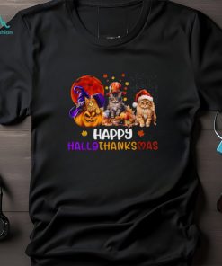 Cat Halloween Christmas Happy Hallothanksmas Thanksgiving Hooded Sweatshirt