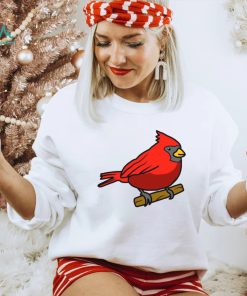 Corndoggylol Arizona Cardinals Logo Meme New T Shirt