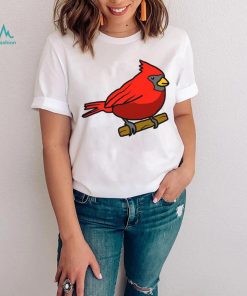 Corndoggylol Arizona Cardinals Logo Meme New T Shirt