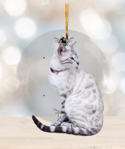 Customized Your Photo Ornament Cat Ornament