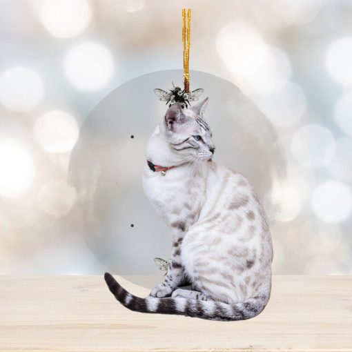 Customized Your Photo Ornament Cat Ornament