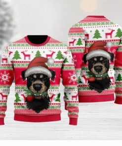 Dog Santas Hat Holiday Time Pattern Ugly Christmas Sweater Funny Gift For Men And Women Family Holidays