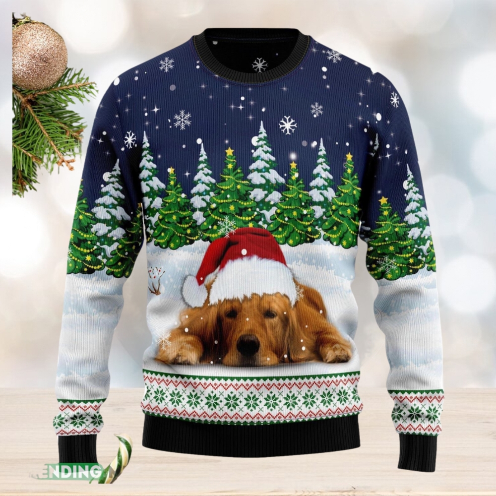 Golden retriever 2025 xmas jumper